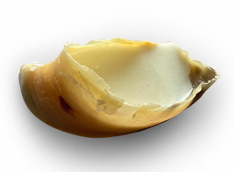 Snack Natural Pezuña rellena de Grasa