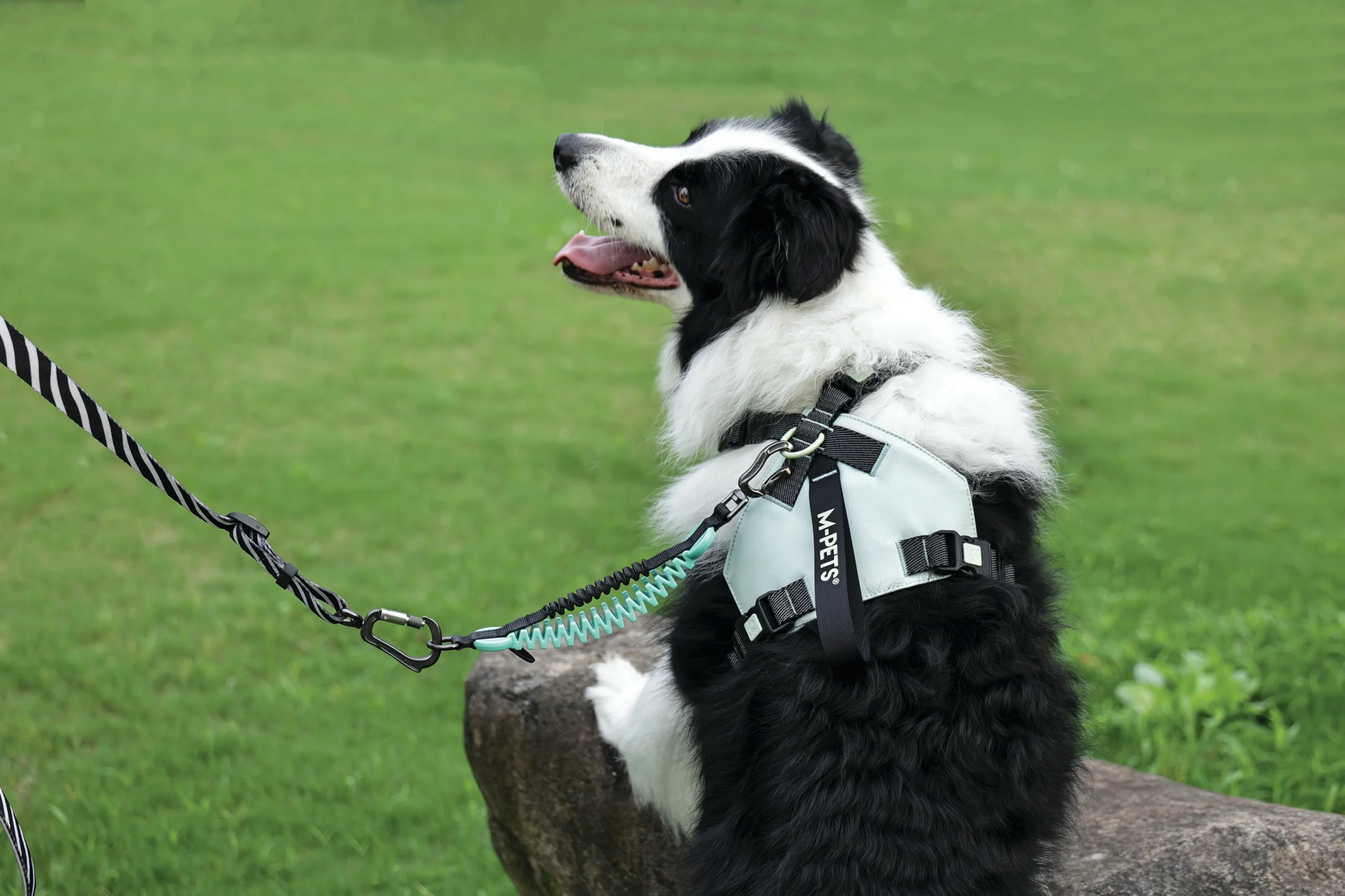 ARNES ERGONOMICO ORIGAMI - Imagen 2