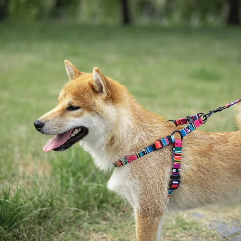 Arnes URBAN STYLE Jazz Stripes